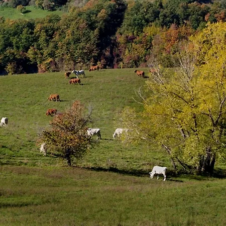 Monastero Di San Biagio Séjour à la ferme